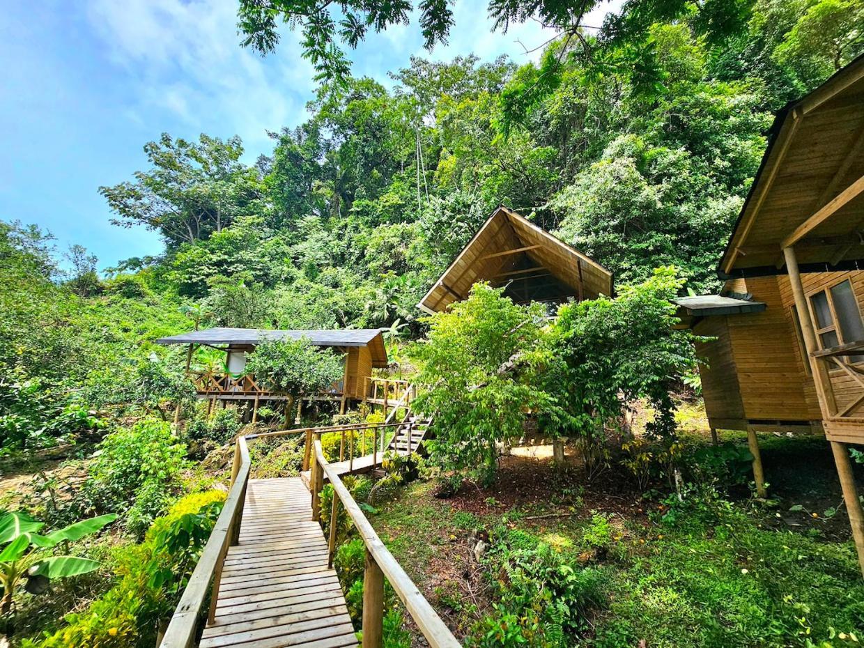 Hotel Piedra Piedra Lodge Nuquí 外观 照片